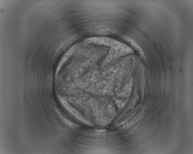 X0000087340493200705181105