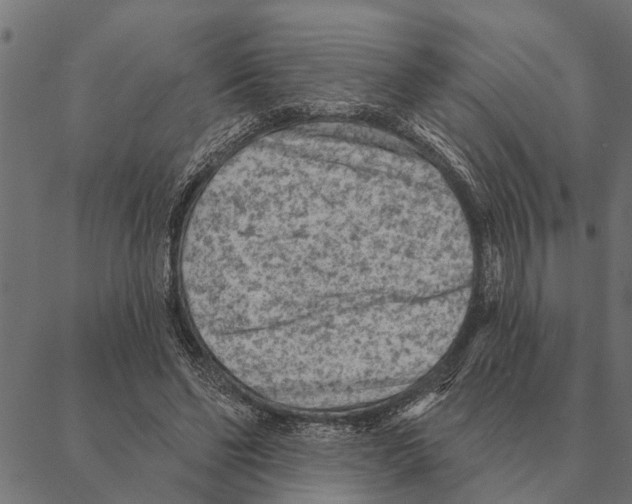 X0000087340494200705181105