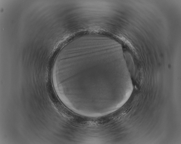X0000087340496200705181105