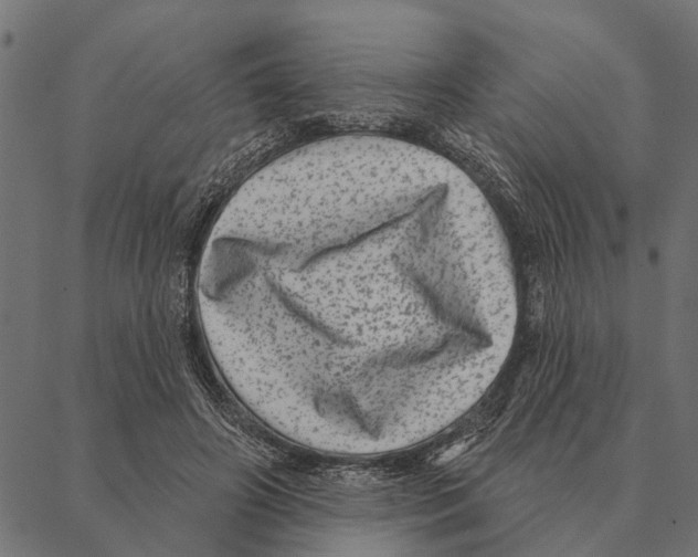 X0000087340498200705181105