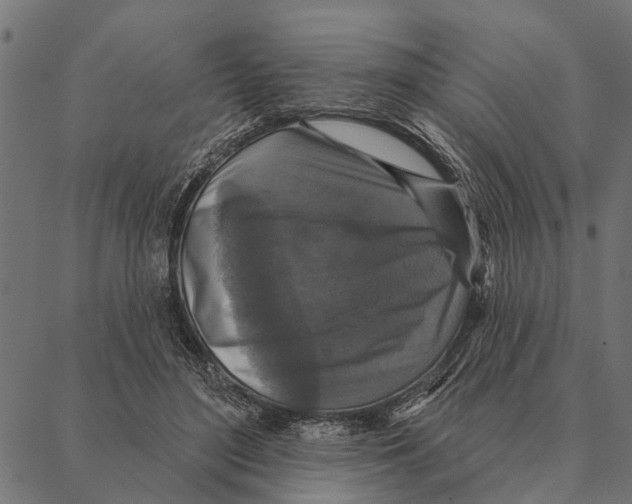 X0000087340500200705181105