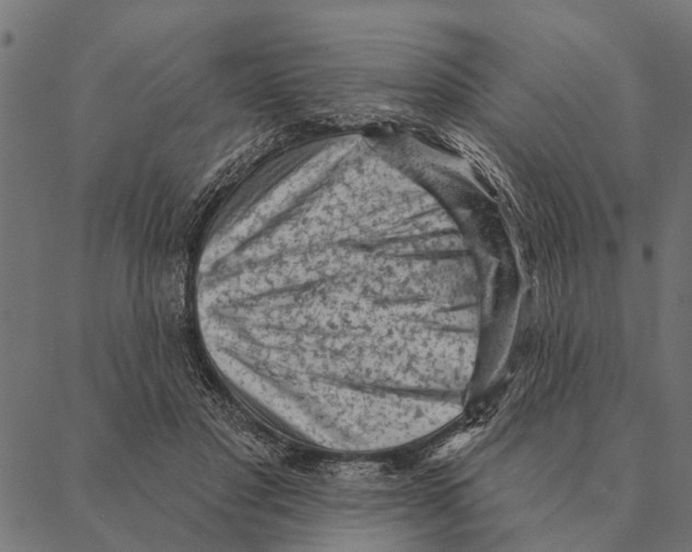 X0000087340501200705181105