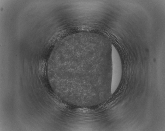 X0000087340511200705181104