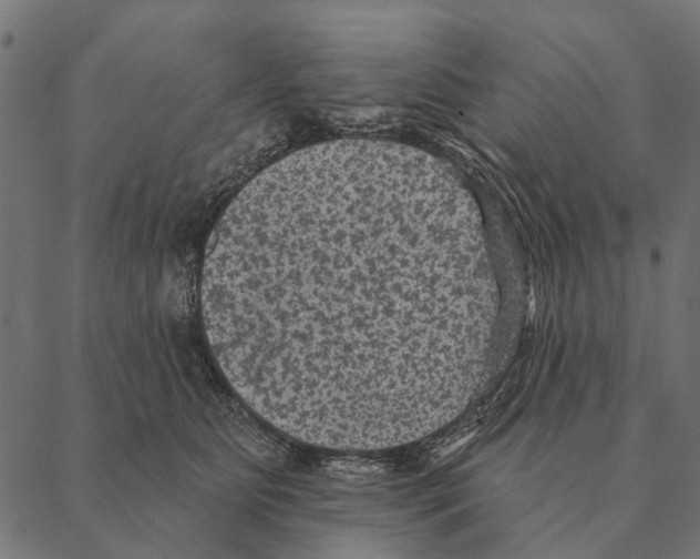 X0000087340515200705181104