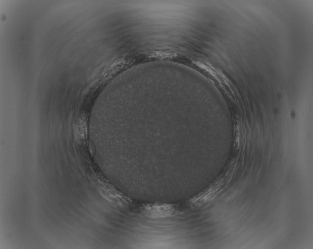 X0000087340517200705181104