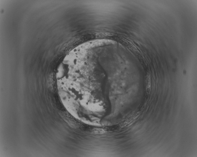 X0000087340519200705181104