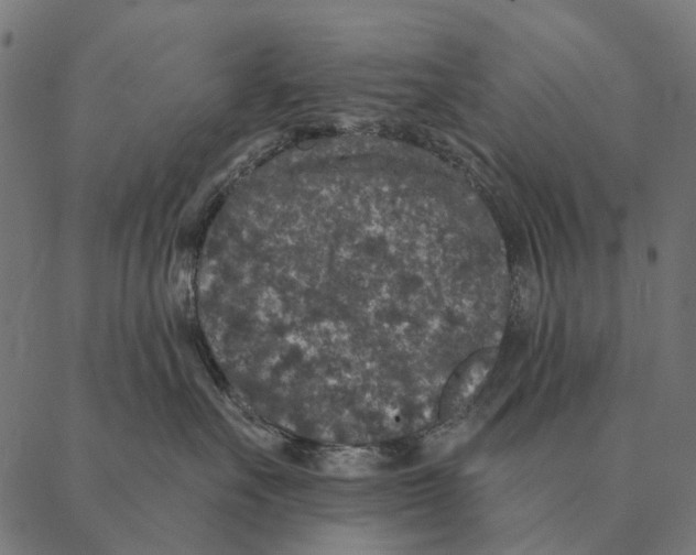 X0000087340527200705181104