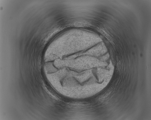 X0000087340530200705181103