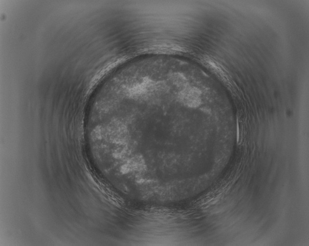 X0000087340531200705181103
