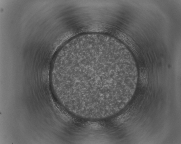 X0000087340534200705181103
