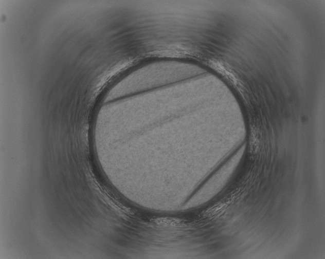 X0000087340535200705181103