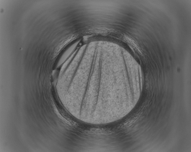 X0000087340538200705181104