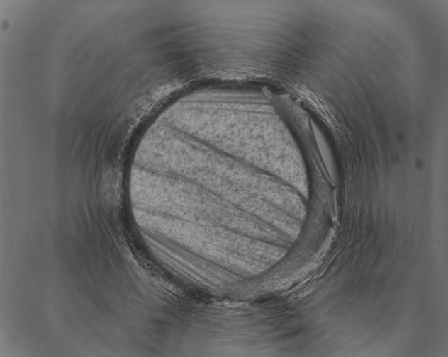 X0000087340540200705181104