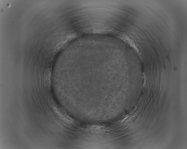 X0000087340542200705181104