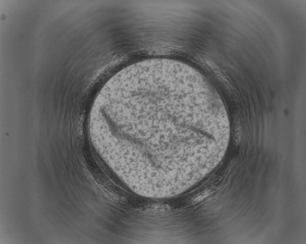 X0000087340543200705181104