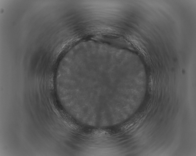 X0000087340547200705181104
