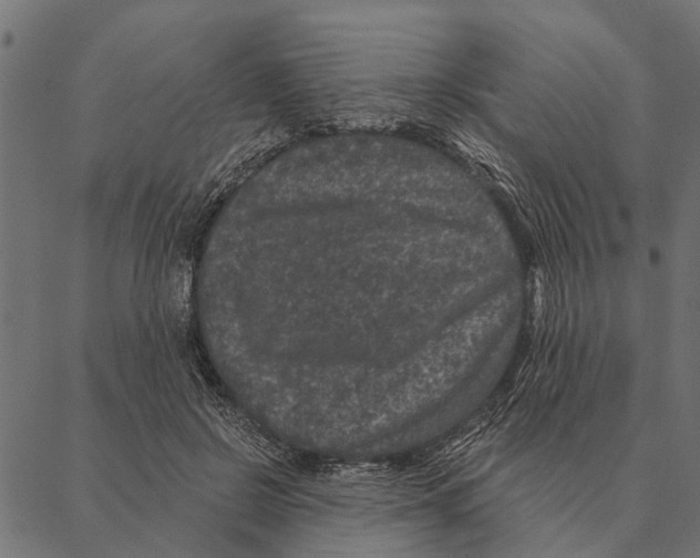 X0000087340550200705181104