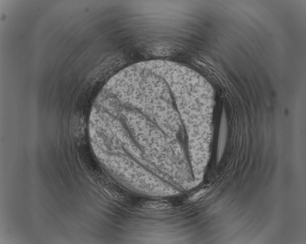 X0000087340555200705181104