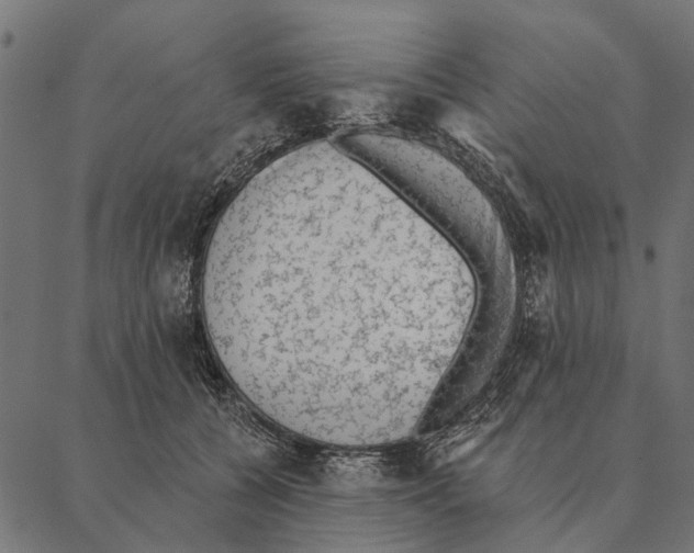 X0000087340560200705181104