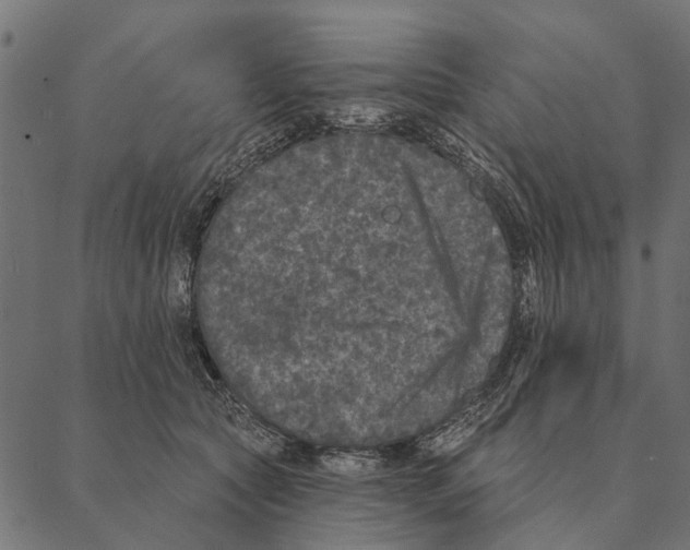 X0000087340561200705181104