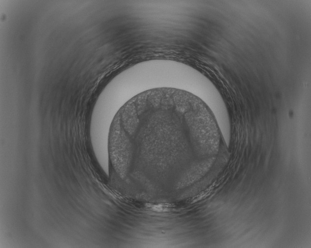 X0000087340564200705181104