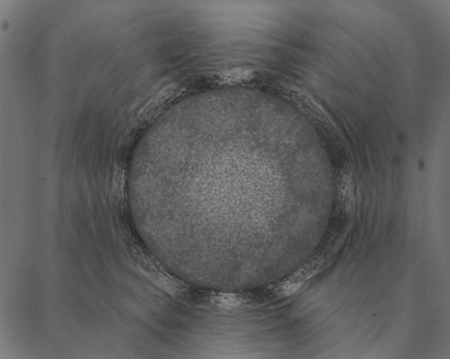 X0000087340565200705181104