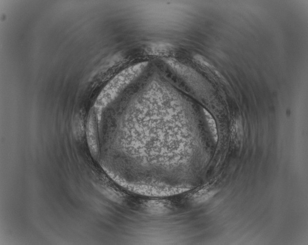 X0000087340566200705181104