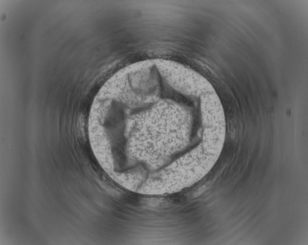 X0000087340575200705181104