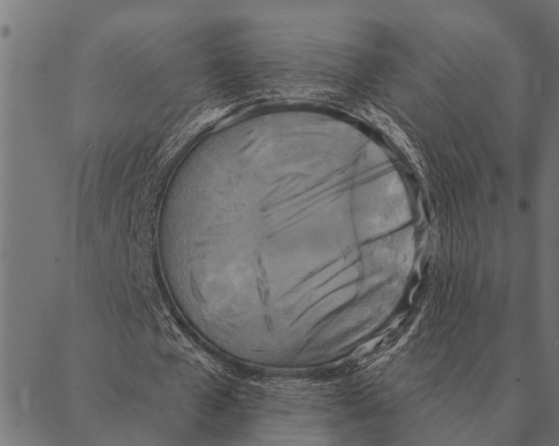 X0000087340577200705181103