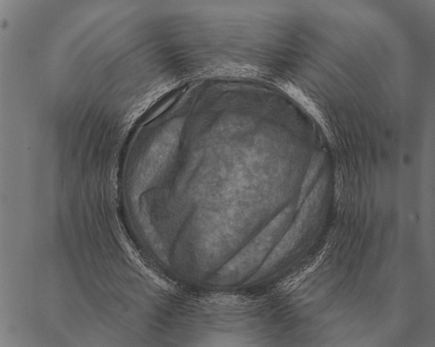 X0000087340581200705181103