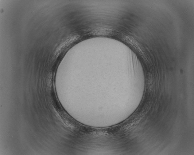 X0000087340586200705181103
