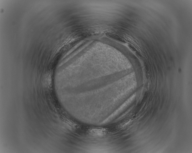 X0000087340595200705181103