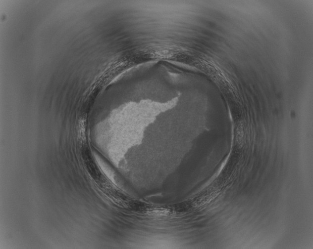 X0000087340598200705181103