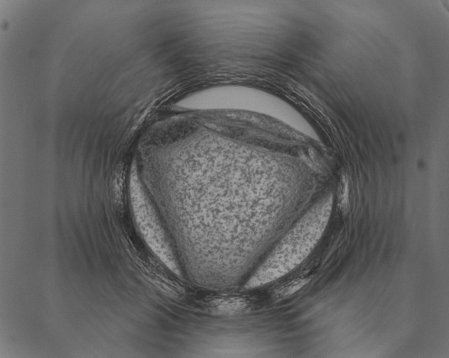 X0000087340604200705181103