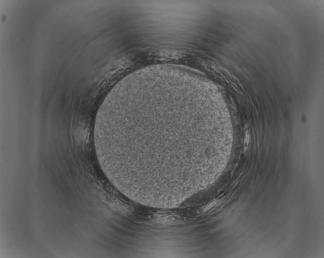 X0000087340608200705181103