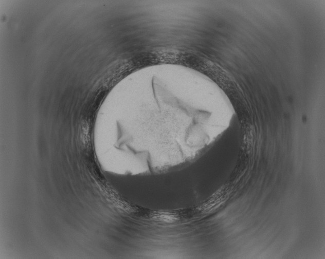 X0000087340610200705181103
