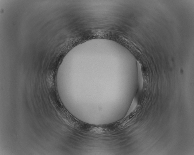 X0000087340611200705181103