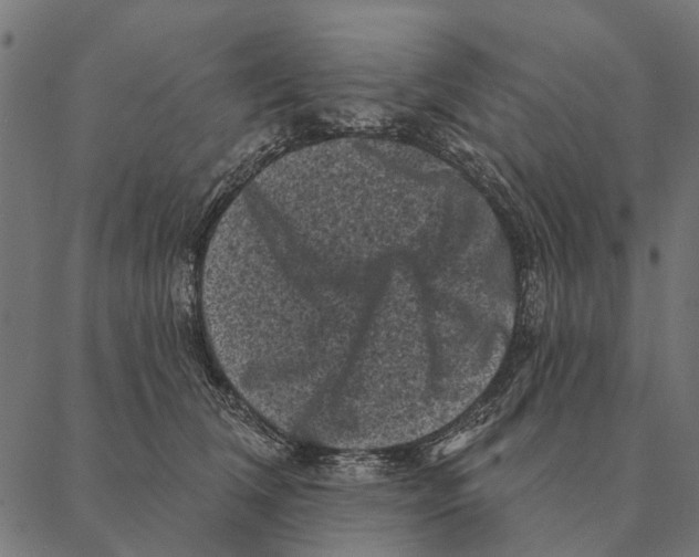 X0000087340612200705181103