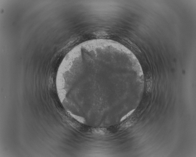 X0000087340618200705181103
