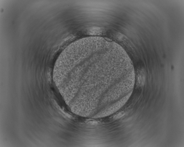 X0000087340620200705181103