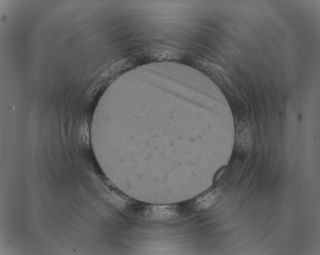 X0000087340622200705181103