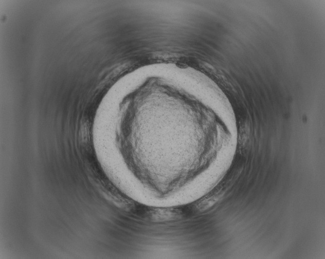X0000087340623200705181103