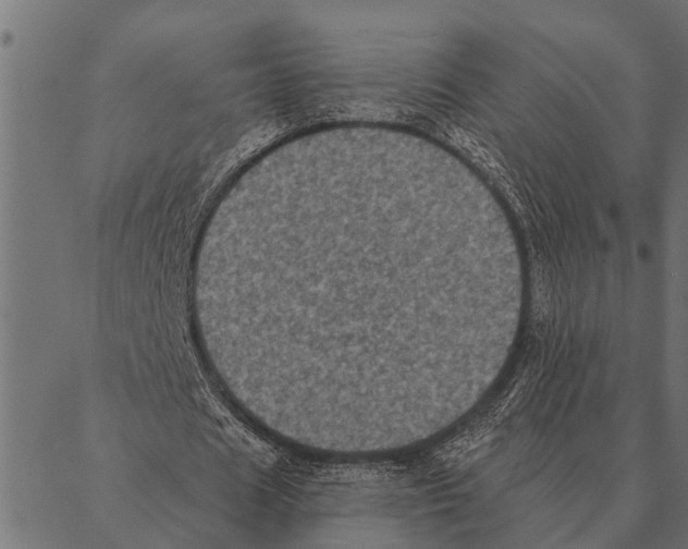 X0000087340625200705181102