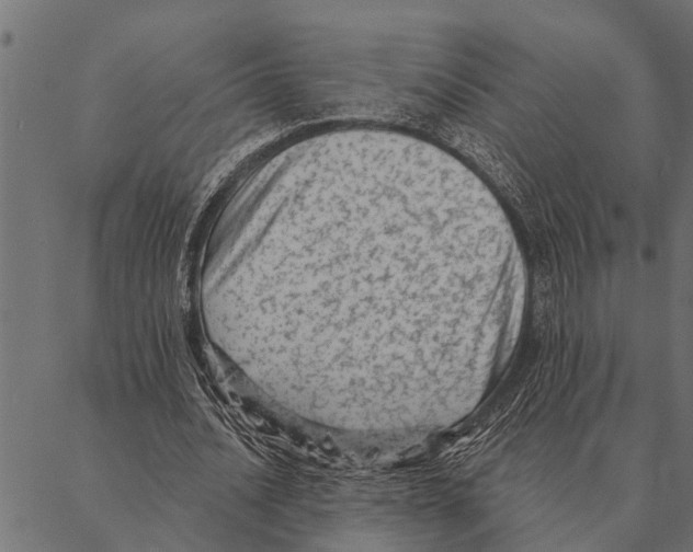 X0000087340628200705181102