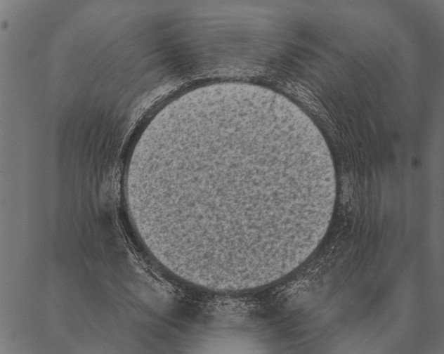 X0000087340632200705181102