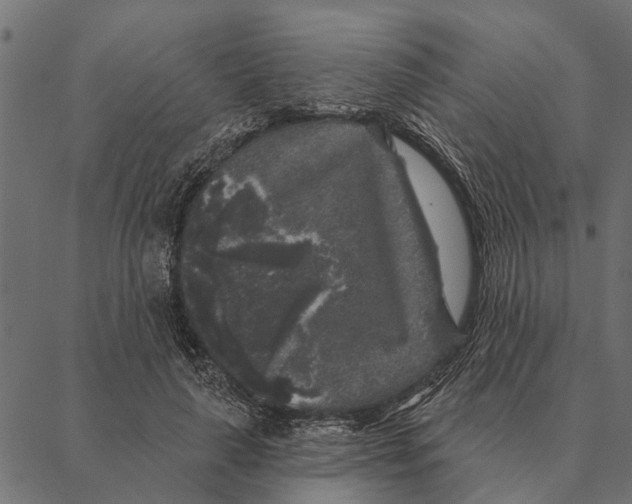X0000087340643200705181102
