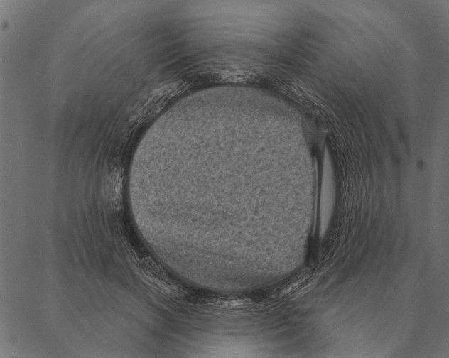 X0000087340646200705181102
