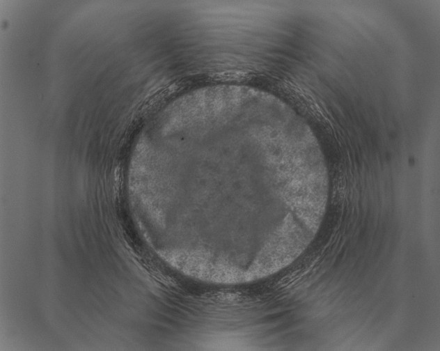 X0000087340647200705181102