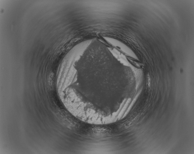 X0000087340650200705181102
