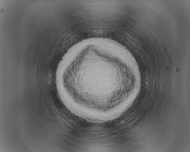 X0000087340651200705181102